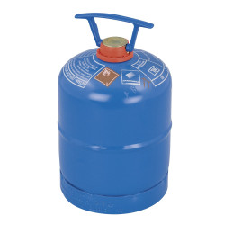 Recharge de gaz R901 0,4 kg Butane – Camping CAMPINGAZ | CAMPINGAZ