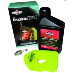 Kit d'entretien moteur 450/500 Briggs Stratton – Performance | BRIGGS AND STRATTON