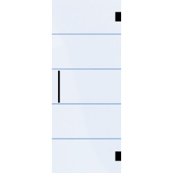 Porte en verre Thytan Everyway Black 78x211cm | THYS