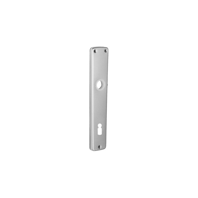 Plaque pour porte en aluminium 110 mm argenté 2 pièces