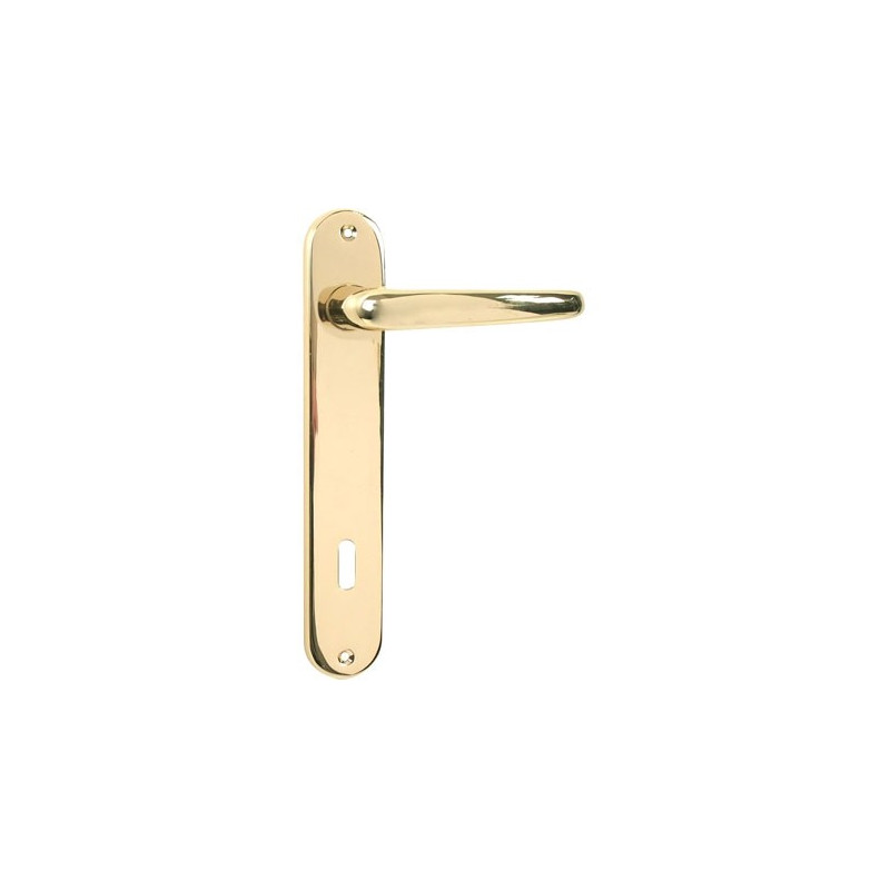 Poignée de porte avec plaque en laiton poli 110 mm LINEA BERTOMANI