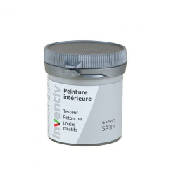 Testeur Peinture Gris Fer Satiné – Idéal Bois & Mur | INVENTIV