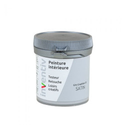 Testeur Peinture Gris Graphite Satiné – Échantillon Idéal | INVENTIV