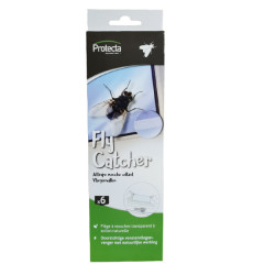 Attrape mouche pour fenêtre Fly Catcher Strip