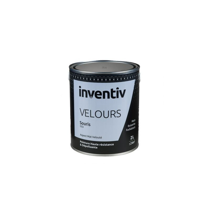 Peinture Velours Souris GG5 2 L INVENTIV