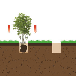 Tarière électrique TE1200 Ø 12 cm 1200 W FAR TOOLS Tarière électrique TE1200 Ø 12 cm 1200 W FAR TOOLS