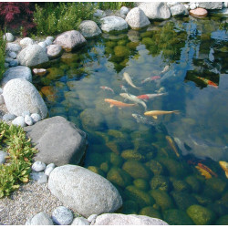 Pompe de filtration SmartMax Fi UBBINK Pompe de filtration SmartMax Fi UBBINK