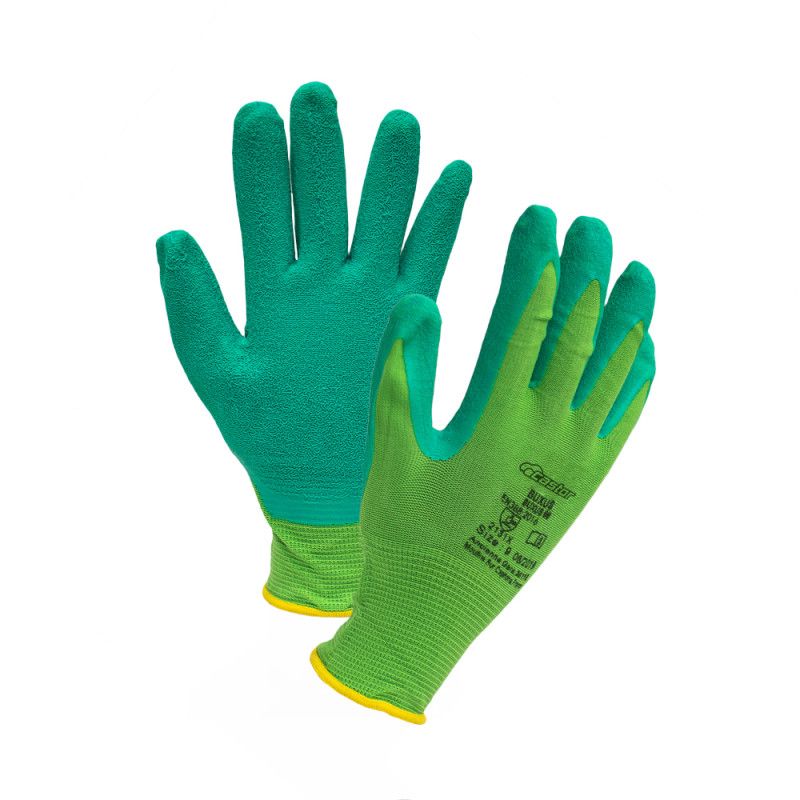 Paire de gants Buxus en nylon taille 6 CASTOR