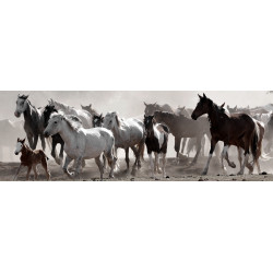 Toile Chevaux 97x30 cm – Décoration Murale Équestre

