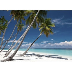 Toile Paradise 140x100 cm – Décoration Murale Unique

