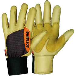 Gants de bûcheronnage Forest 10 – Protection Robuste | ROSTAING