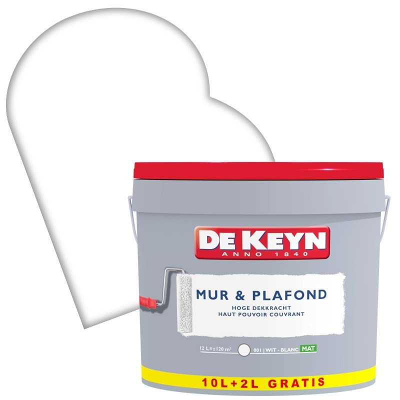 Peinture Mur & Plafond blanche mate 10 + 2 L gratuit DE KEYN