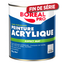 Peinture acrylique Pro gris clair mate 8 kg BOREAL