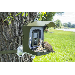 Caméra d'observation nature 8 MP TX-165