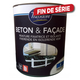 Peinture Béton & Façade blanche 2,5 L THEODORE INSPIRATION