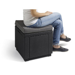 Pouf avec rangement intégré et coussin 42 x 42 x 39 cm ALLIBERT