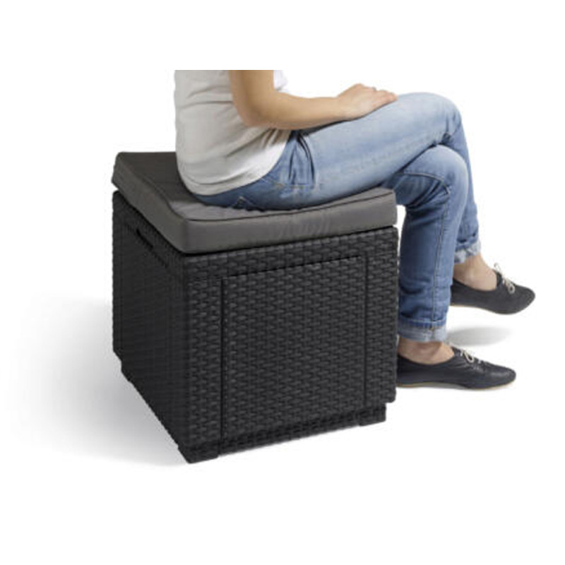 Pouf avec rangement intégré et coussin 42 x 42 x 39 cm ALLIBERT