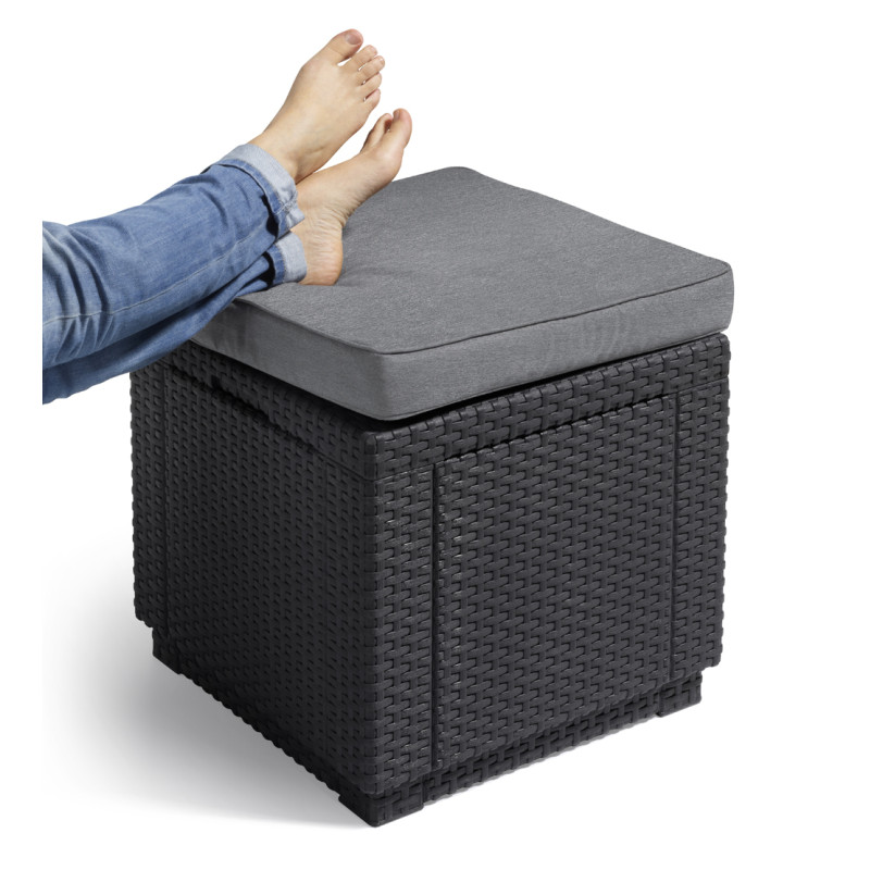 Pouf avec rangement intégré et coussin 42 x 42 x 39 cm ALLIBERT