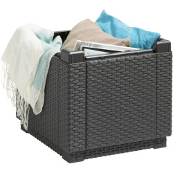 Pouf avec rangement intégré et coussin 42 x 42 x 39 cm ALLIBERT