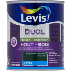 Laque Bois Duol Vert Mousse Satinée 0,75L – Finition Parfaite | LEVIS