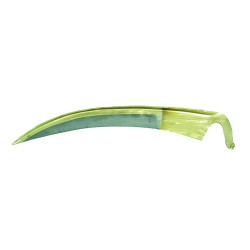 Lame de faux – Outil de coupe performant | AVR TOOLS