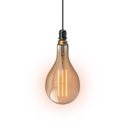 Ampoule LED Vintage PS160 E27 8W – Lumière Chaude | XANLITE