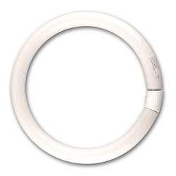 Tube fluo G10Q T9 Circline 32W – Éclairage puissant | SYLVANIA

