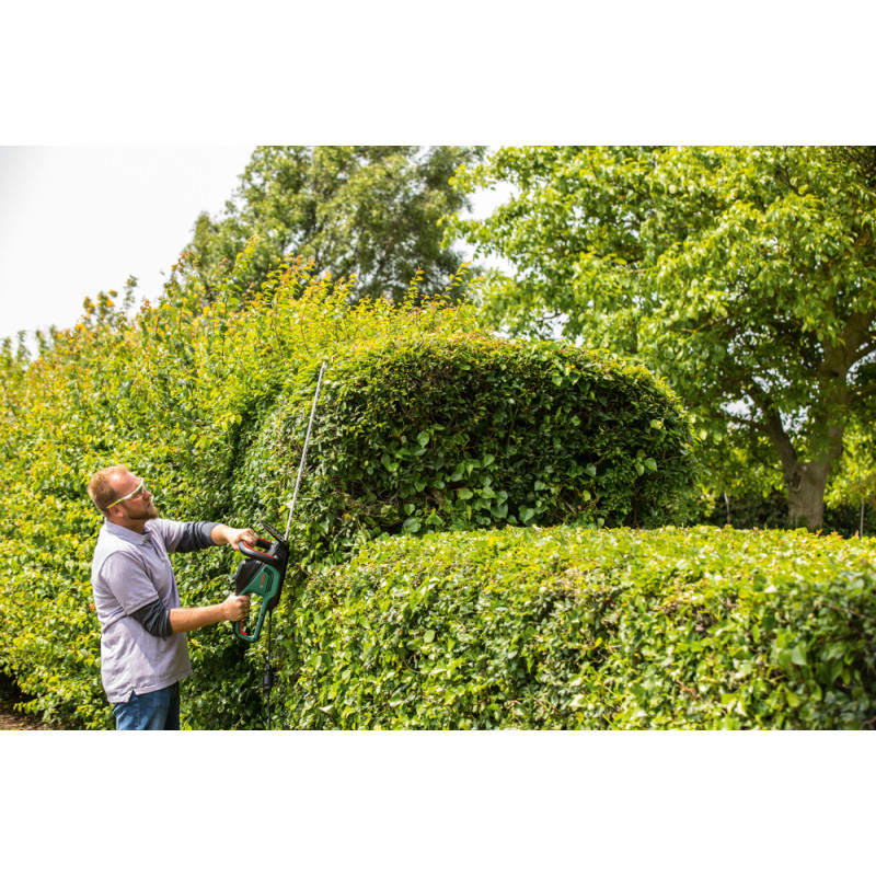 Taille-haie électrique Advanced Hedge Cut 70 500 W BOSCH