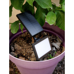 Borne solaire LED 12 x 12 x 42 cm XANLITE Borne solaire LED 12 x 12 x 42 cm XANLITE