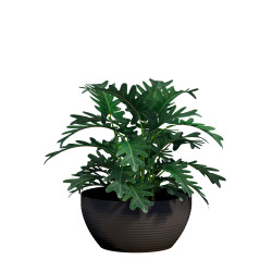 Coupe Green Care Impact anthracite Ø 35 cm Coupe Green Care Impact anthracite Ø 35 cm