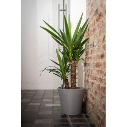 Pot Green Care Sense bleu gris Ø 40 x 34 cm Pot Green Care Sense bleu gris Ø 40 x 34 cm