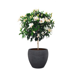 Pot Roto Lineo noir Ø 40 cm Pot Roto Lineo noir Ø 40 cm