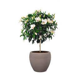 Pot Roto Lineo taupe Ø 30 cm