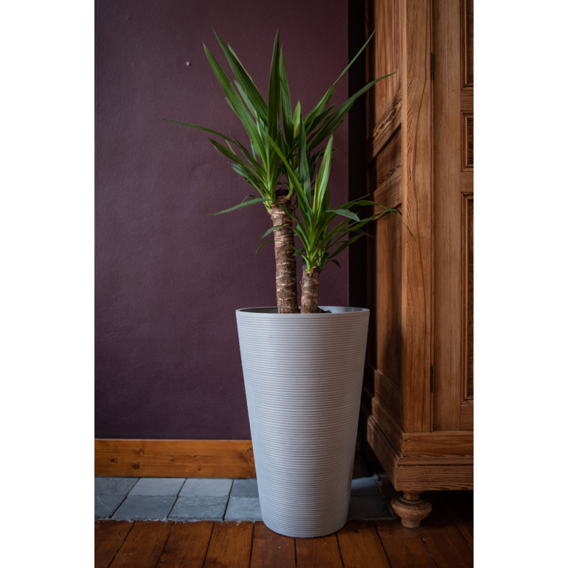 Pot Green Care Sense taupe Ø 35 x 56 cm Pot Green Care Sense taupe Ø 35 x 56 cm