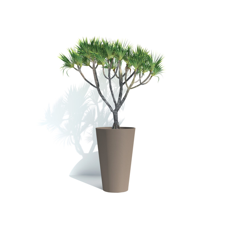 Pot Green Care Sense taupe Ø 35 x 56 cm Pot Green Care Sense taupe Ø 35 x 56 cm