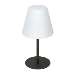 Lampe à poser Blooboost E27 15W – Éclairage Puissant | BLOOBOOST