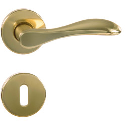 Poignée Laiton Poli – Élégance Intemporelle | LINEA BERTOMANI