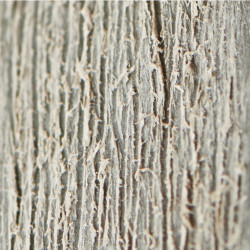 Abri de jardin en résine Brossium 2,3 x 4,13 x 2,42 m KETER Abri de jardin en résine Brossium 2,3 x 4,13 x 2,42 m KETER