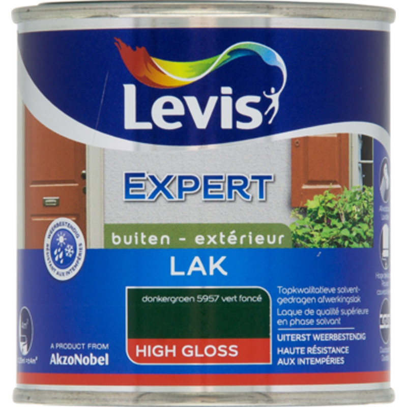 Laque Expert Extérieur vert foncé brillant 0,25 L LEVIS