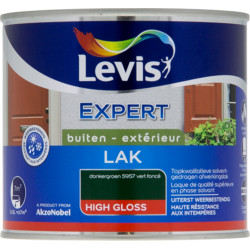 Laque Expert Extérieur vert foncé brillant 0,5 L LEVIS