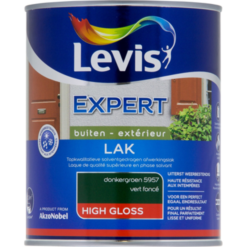 Laque Expert Extérieur vert foncé brillant 1 L LEVIS