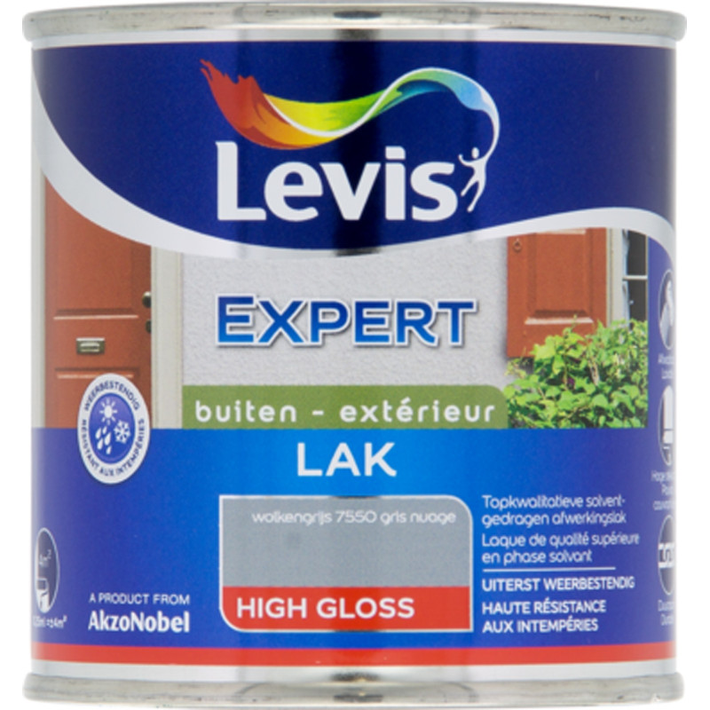 Laque Expert Extérieur gris nuage brillant 0,25 L LEVIS