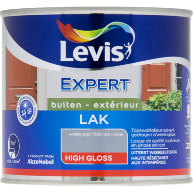 Laque Expert Extérieur gris nuage brillant 0,5 L LEVIS