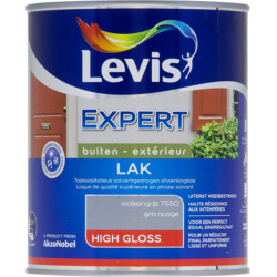 Laque Expert Extérieur Gris Nuage Brillant 1L – Peinture | LEVIS