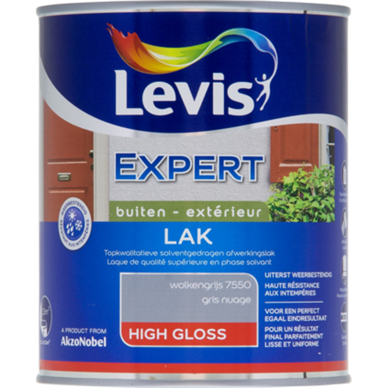 Laque Expert Extérieur gris nuage brillant 1 L LEVIS