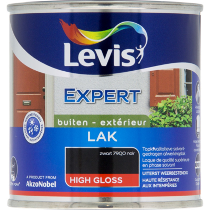 Laque Expert Extérieur noir brillant 0,25 L LEVIS