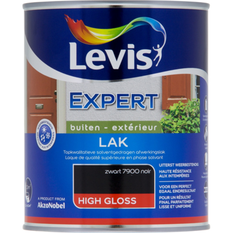 Laque Expert Extérieur noir brillant 1 L LEVIS