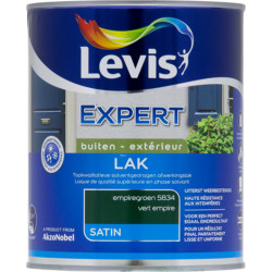Laque Expert Extérieur LEVIS – Vert Empire Satiné | LEVIS

