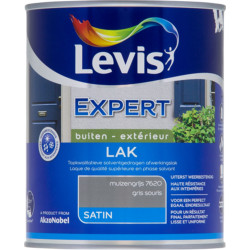 Laque Expert Extérieur Gris Souris Satiné 1L | LEVIS