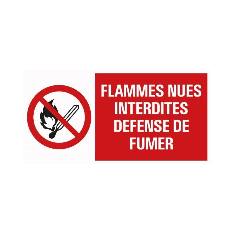 Pictogramme flammes nues interdites 30 x 15 cm